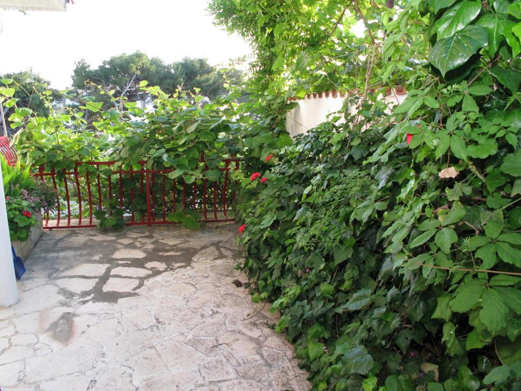 Apartments Ana Trogir Room photo